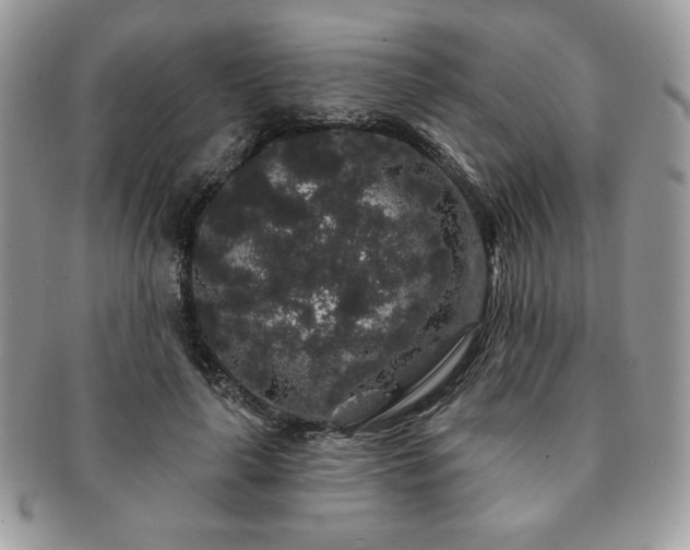 X0000091190643200708161552