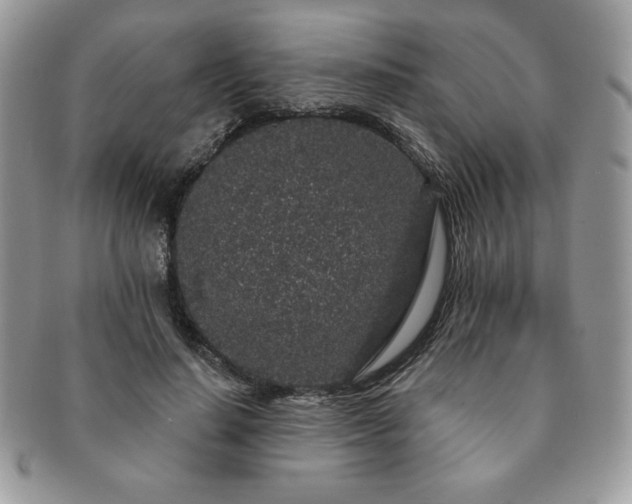 X0000091190644200708161552