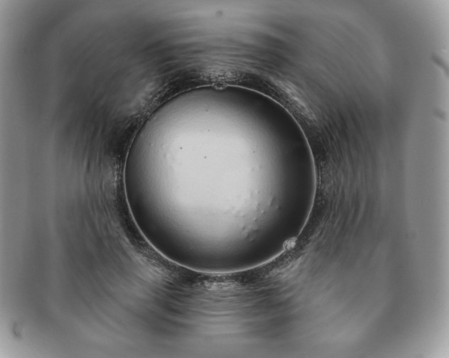 X0000091190645200708161552