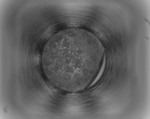 X0000091190647200708161552