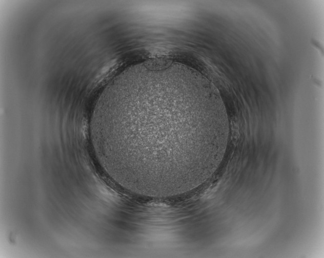 X0000091190648200708161552