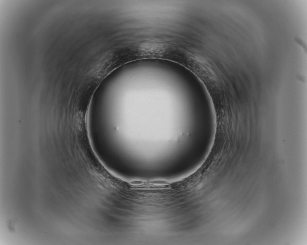 X0000091190649200708161552
