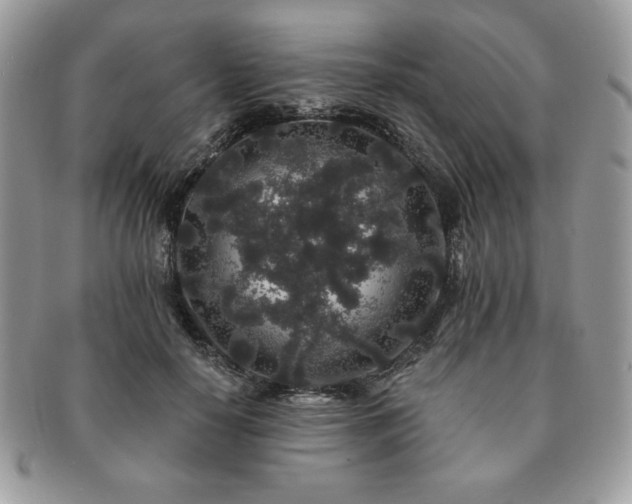 X0000091190650200708161552