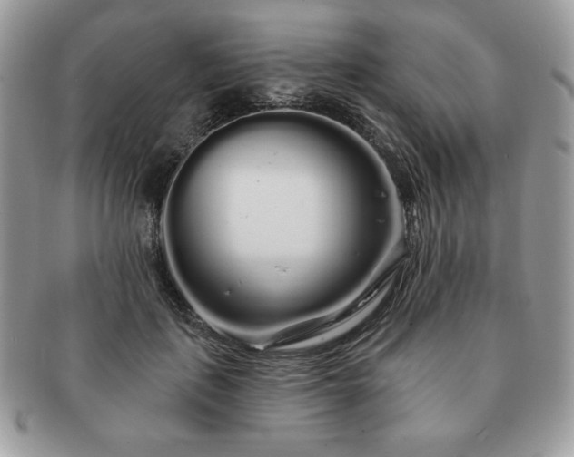 X0000091190651200708161552
