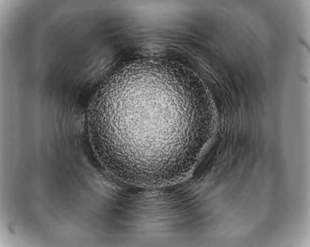X0000091190652200708161552
