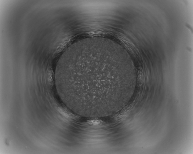 X0000091190654200708161552