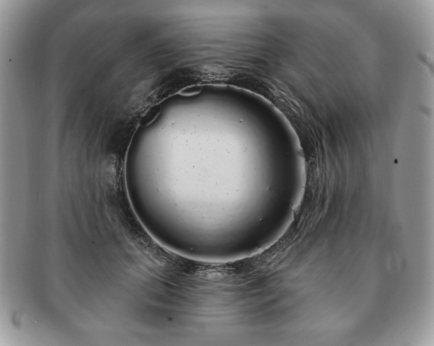 X0000091190655200708161552