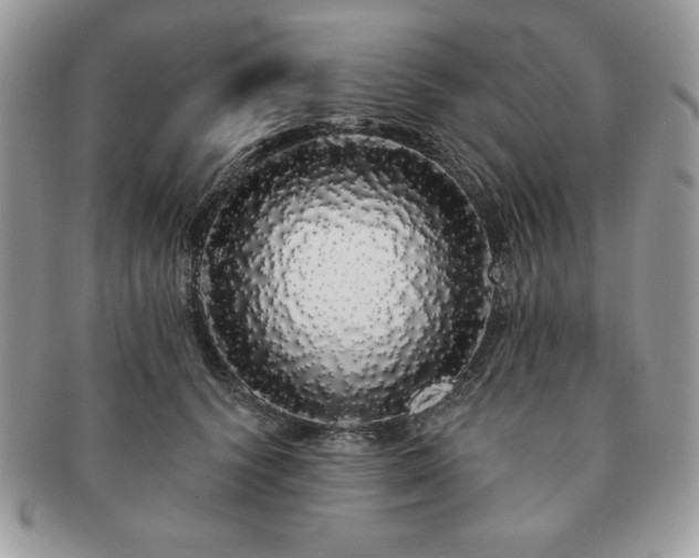 X0000091190656200708161552
