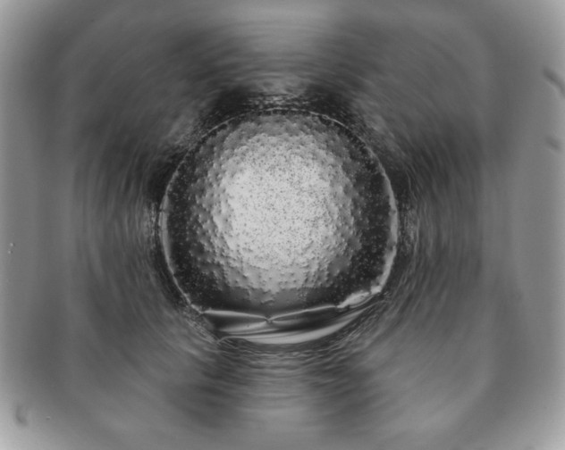 X0000091190657200708161552