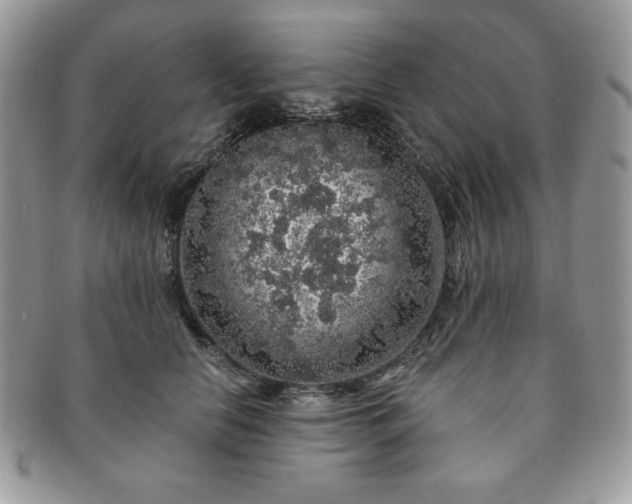 X0000091190658200708161552