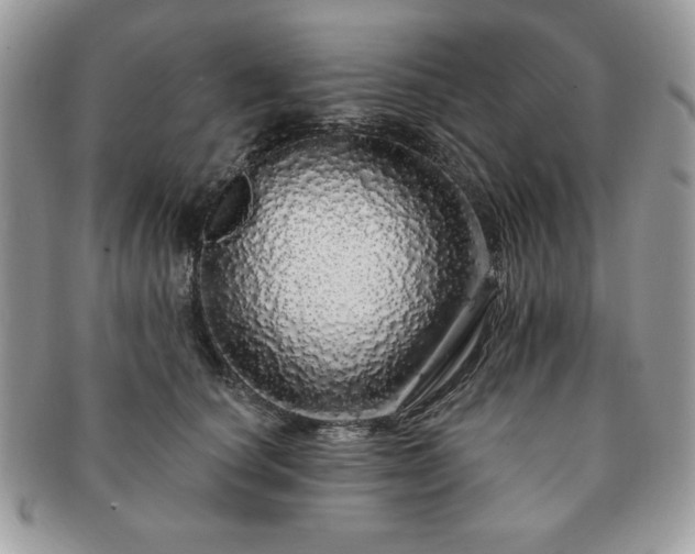 X0000091190660200708161552