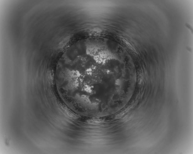X0000091190661200708161552