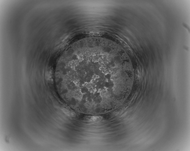 X0000091190663200708161552