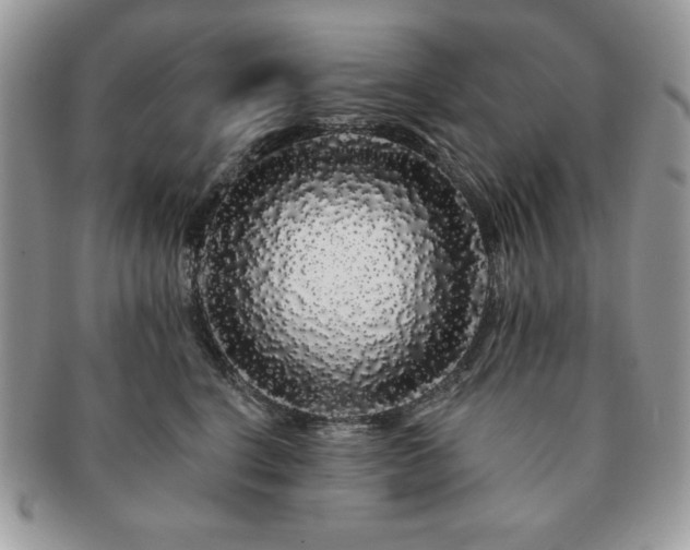 X0000091190664200708161552