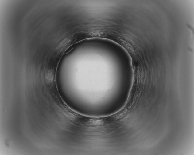 X0000091190665200708161552