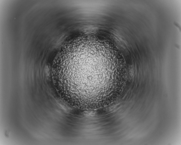 X0000091190667200708161552