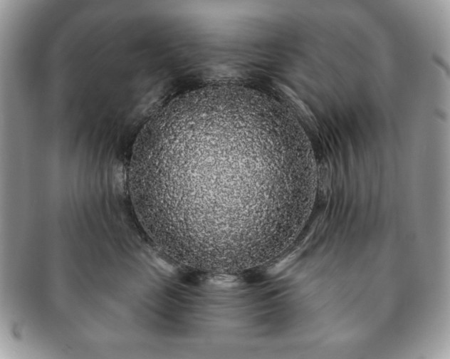X0000091190669200708161552