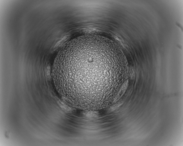 X0000091190670200708161552