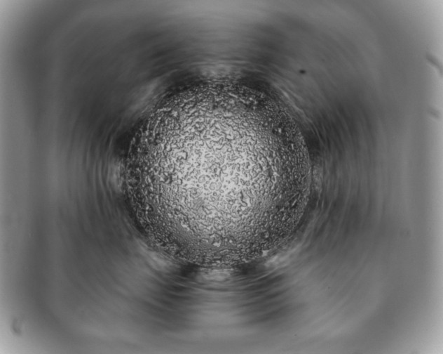 X0000091190671200708161552