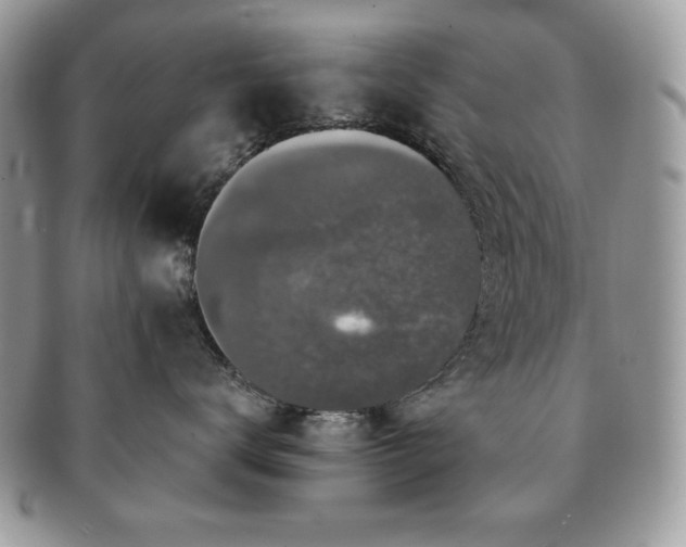 X0000091190672200708161552