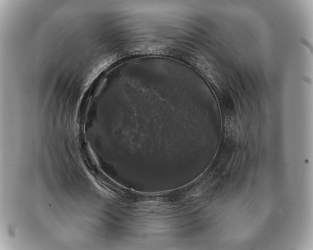X0000091190674200708161551