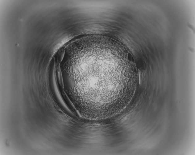 X0000091190675200708161551