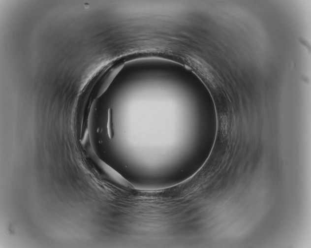 X0000091190676200708161551