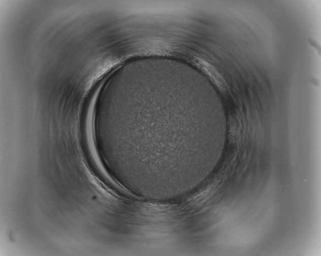 X0000091190677200708161551