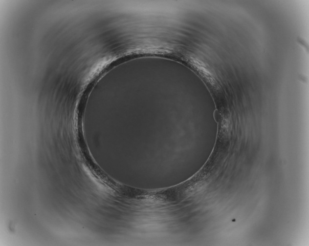 X0000091190678200708161551