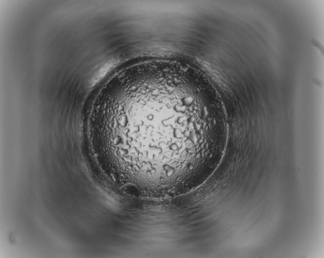 X0000091190679200708161551