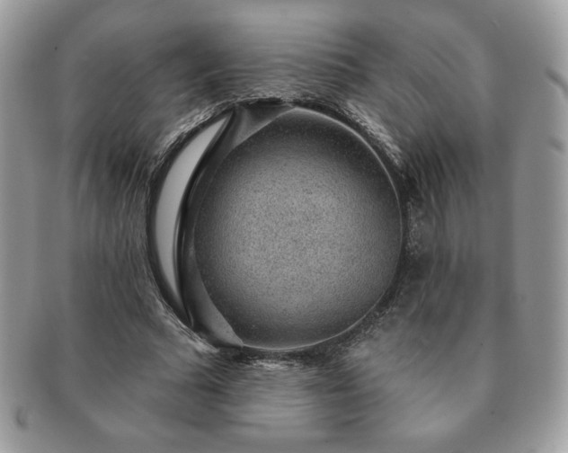 X0000091190681200708161551