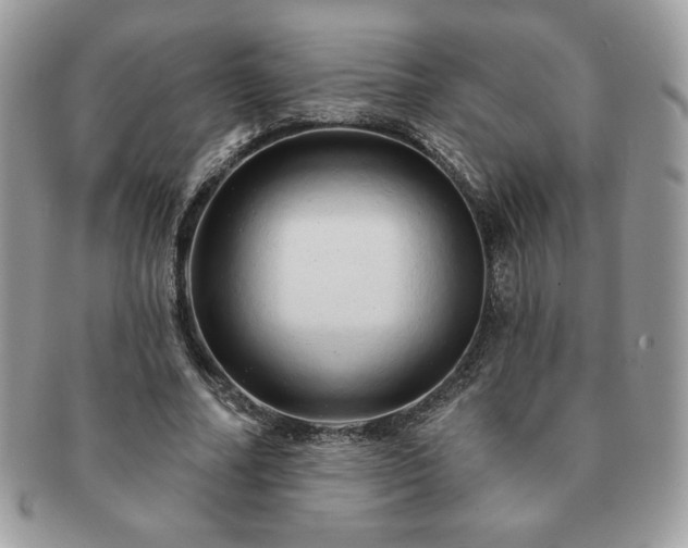 X0000091190682200708161551