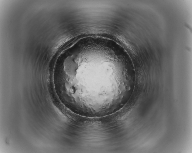 X0000091190683200708161551