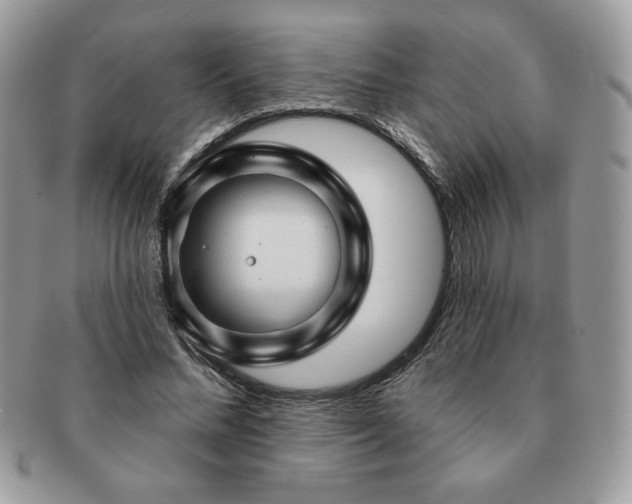 X0000091190684200708161551