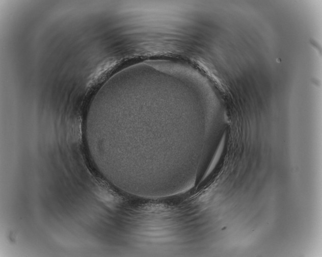 X0000091190685200708161551