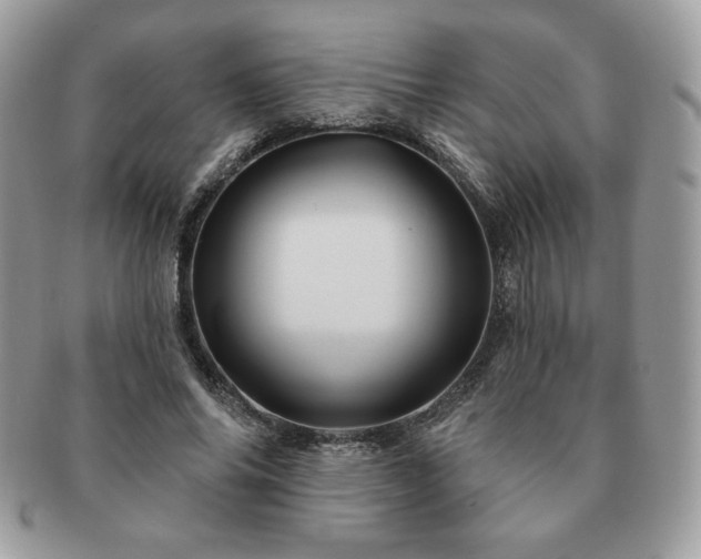 X0000091190686200708161551
