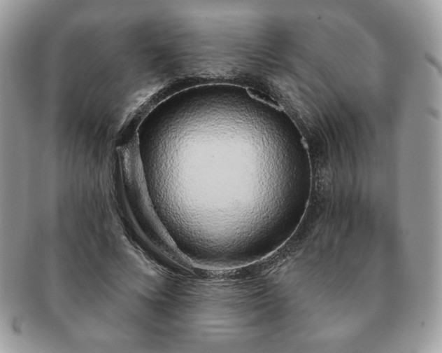 X0000091190688200708161551