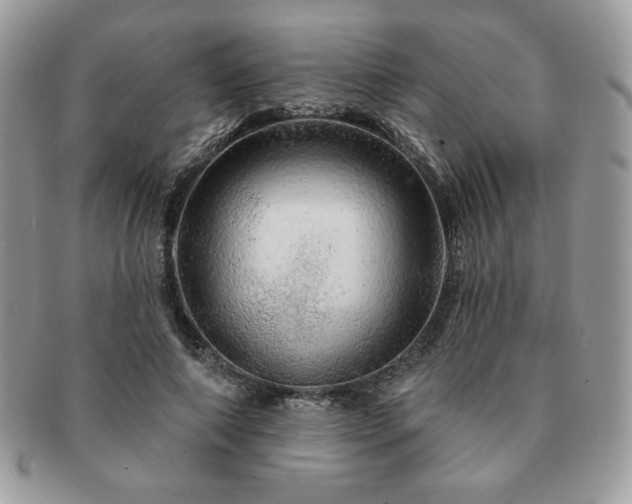 X0000091190690200708161551