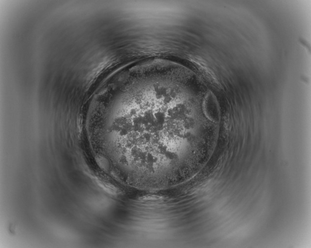 X0000091190691200708161551