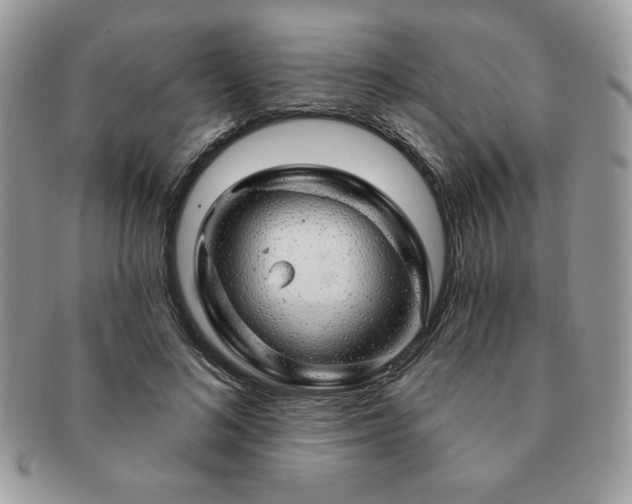 X0000091190692200708161551
