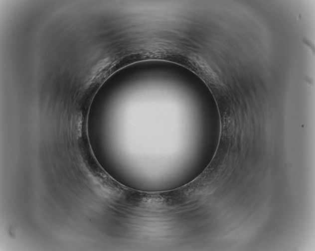 X0000091190694200708161551