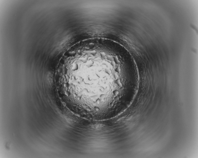 X0000091190695200708161551