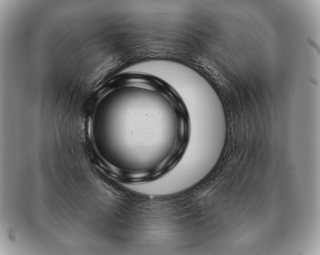 X0000091190696200708161551