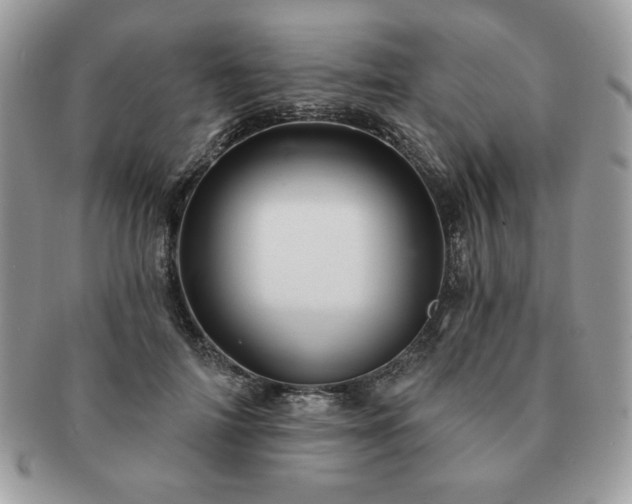 X0000091190698200708161551