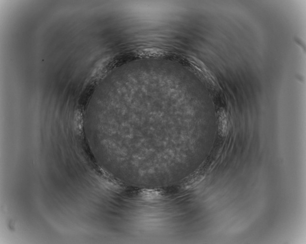 X0000091190701200708161551