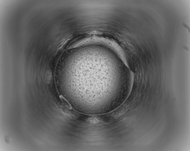 X0000091190704200708161551