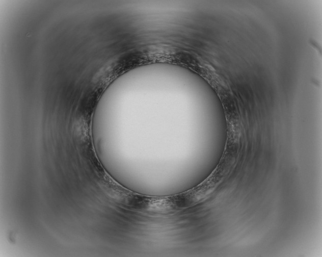 X0000091190705200708161551