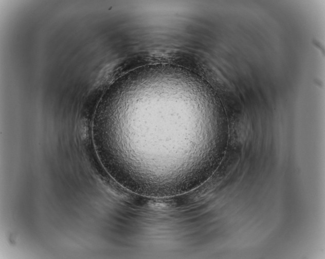 X0000091190706200708161551