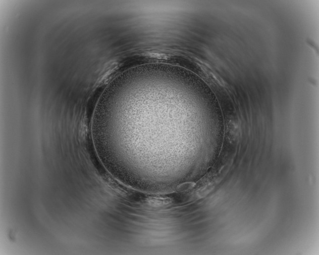 X0000091190707200708161551