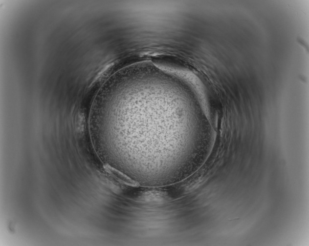 X0000091190708200708161551
